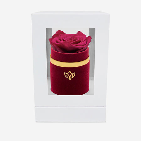 Single Bordeaux Suede Box | Magenta Rose - The Million Roses