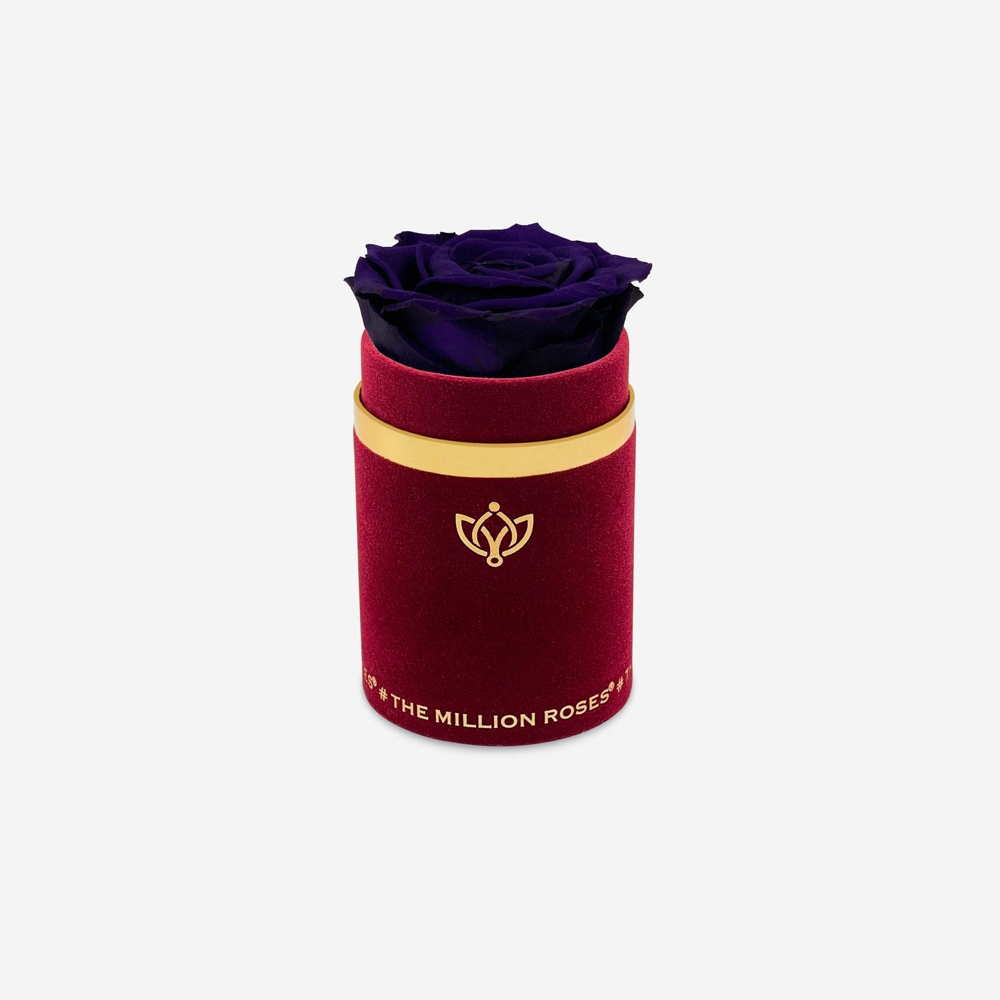 Single Bordeaux Suede Box | Dark Purple Rose - The Million Roses