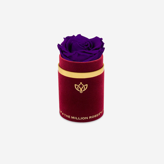 Single Bordeaux Suede Box | Bright Purple Rose - The Million Roses