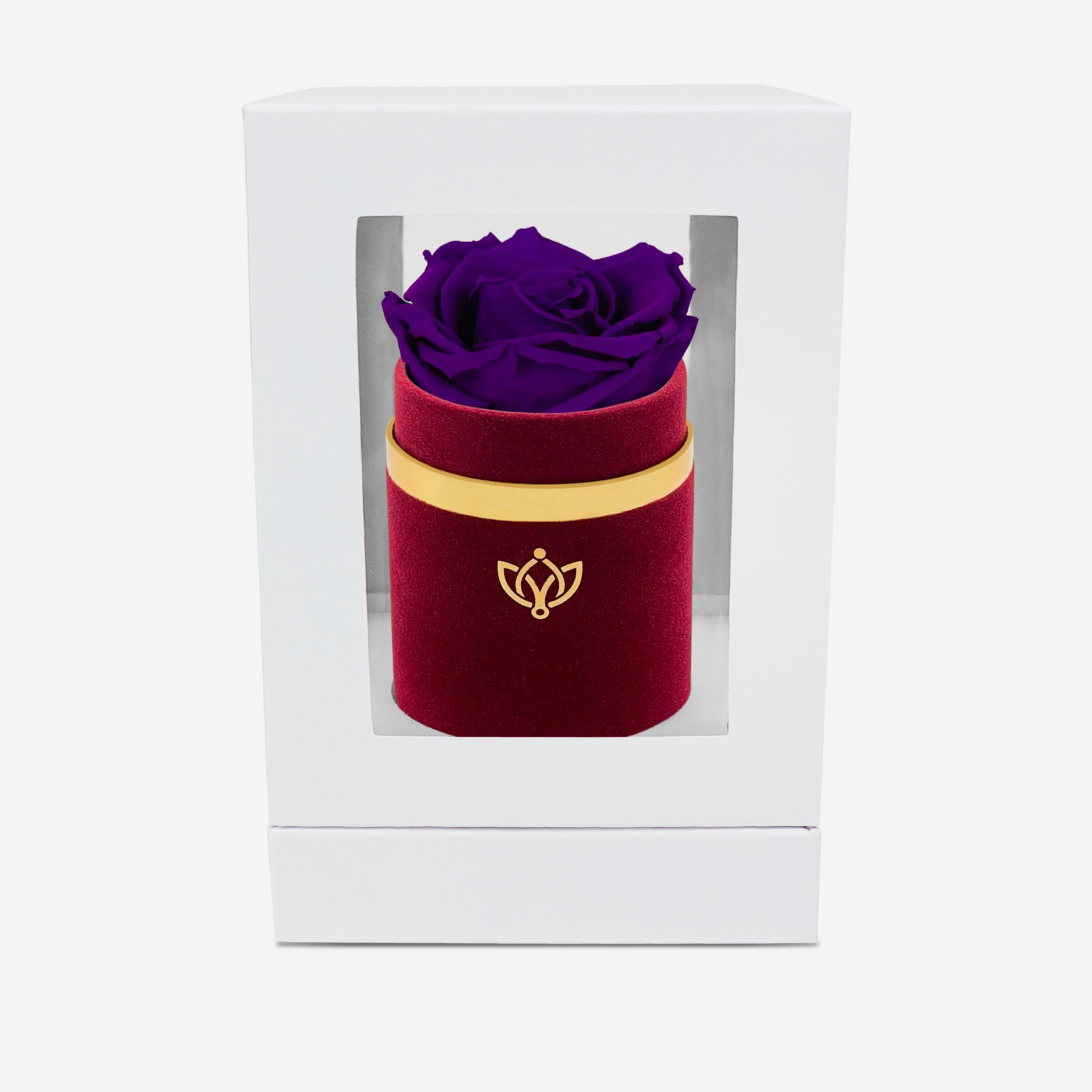 Single Bordeaux Suede Box | Bright Purple Rose - The Million Roses