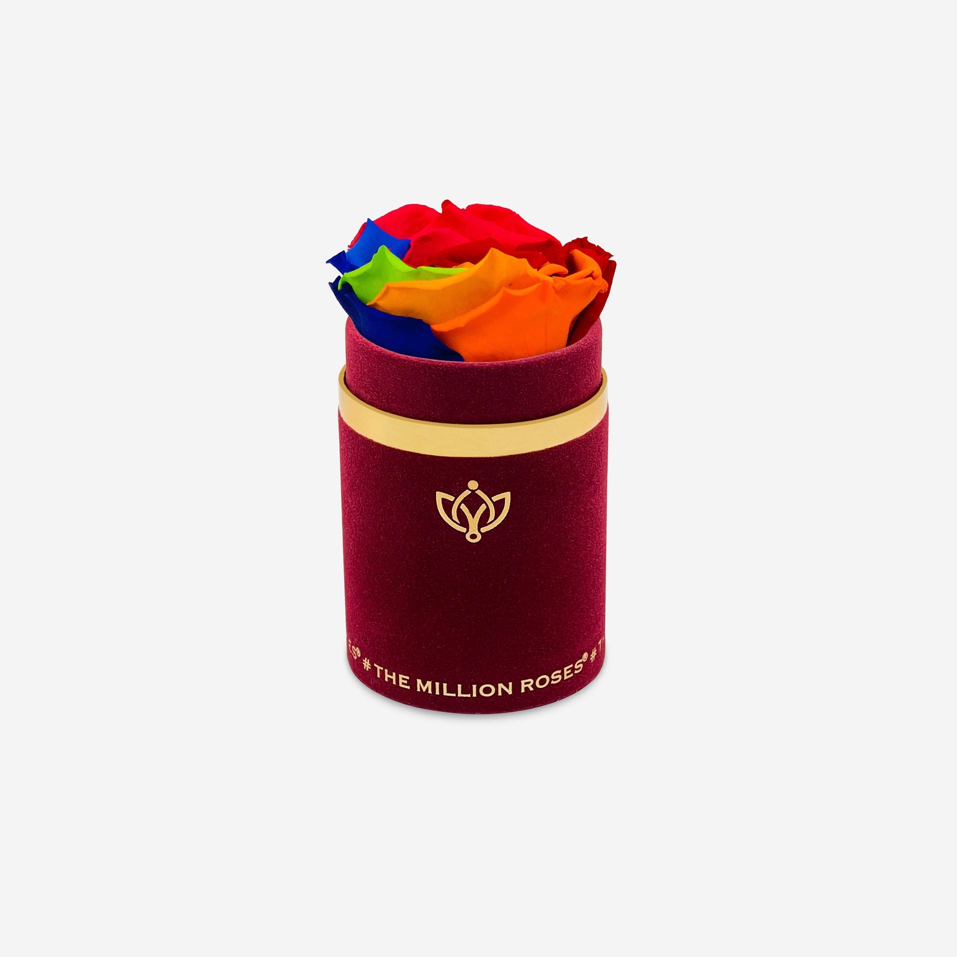 Single Bordeaux Suede Box | Rainbow Rose - The Million Roses