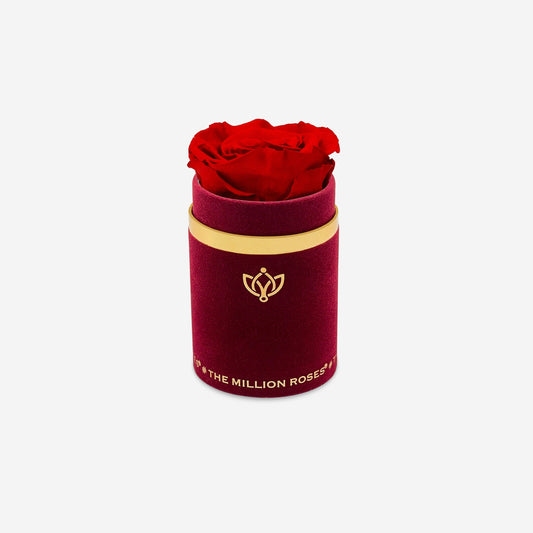 Single Bordeaux Suede Box | Red Rose - The Million Roses