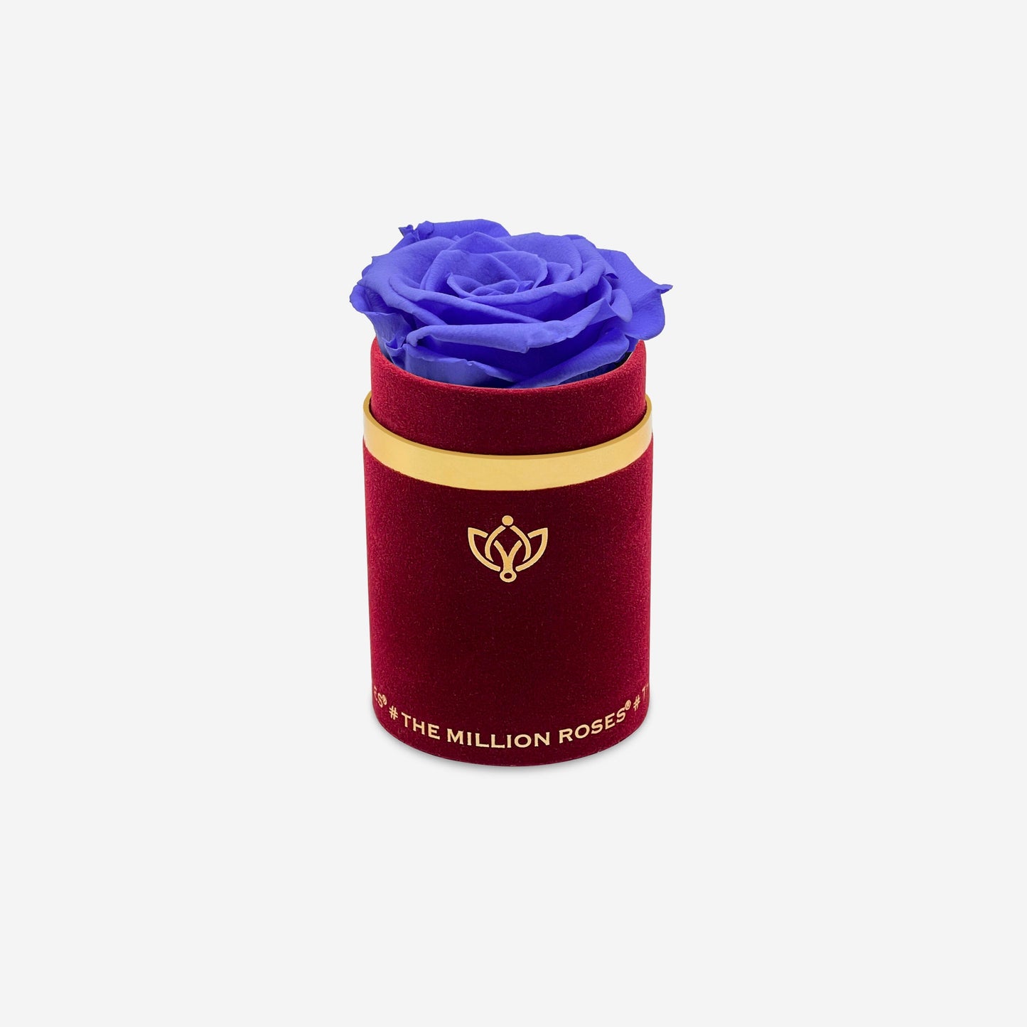 Single Bordeaux Suede Box | Violet Rose - The Million Roses
