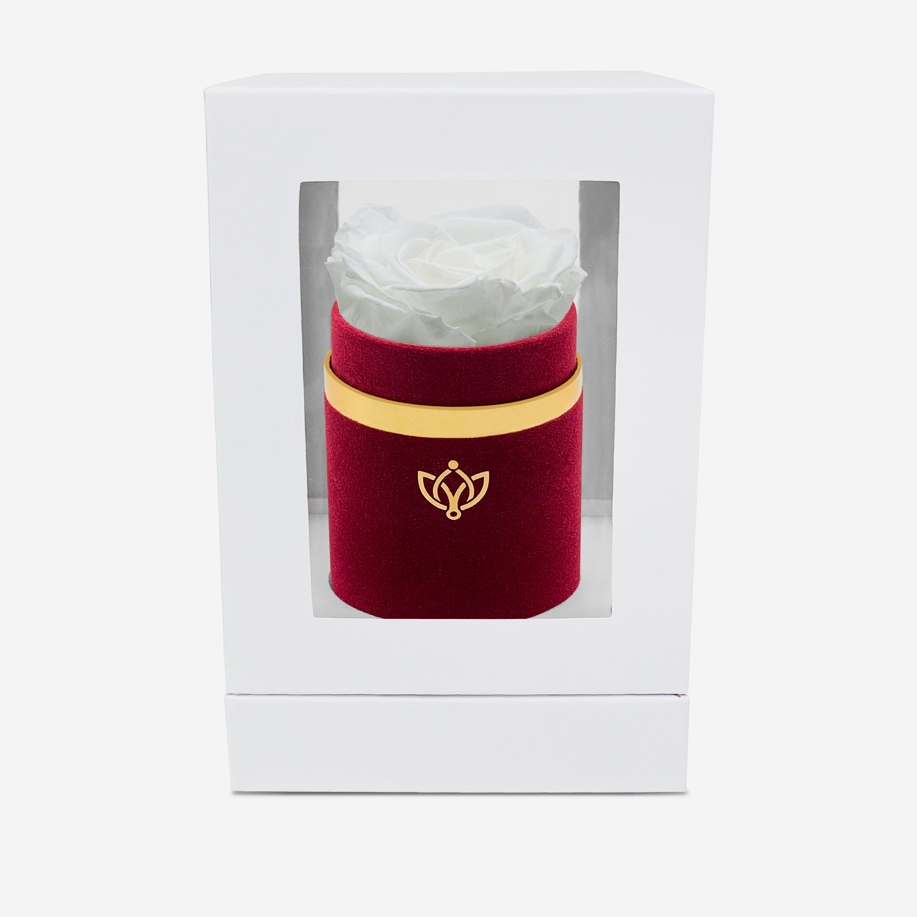 Single Bordeaux Suede Box | White Rose - The Million Roses