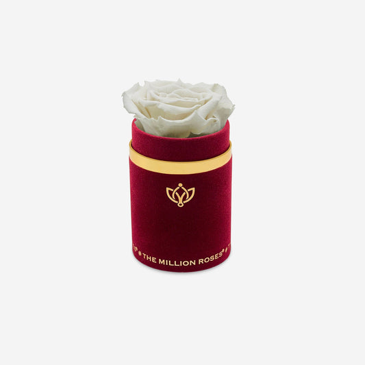 Single Bordeaux Suede Box | Off White Rose - The Million Roses