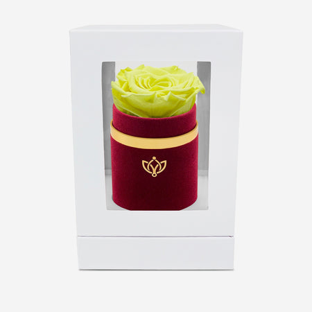 Single Bordeaux Suede Box | Canary Yellow Rose - The Million Roses