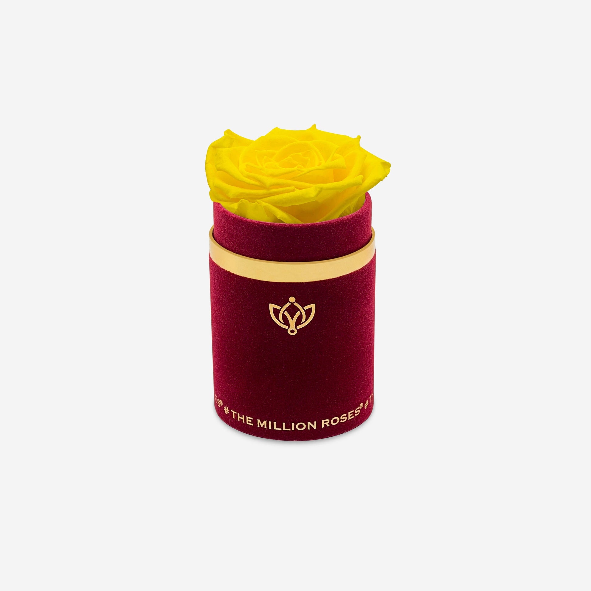 Single Bordeaux Suede Box | Yellow Rose - The Million Roses
