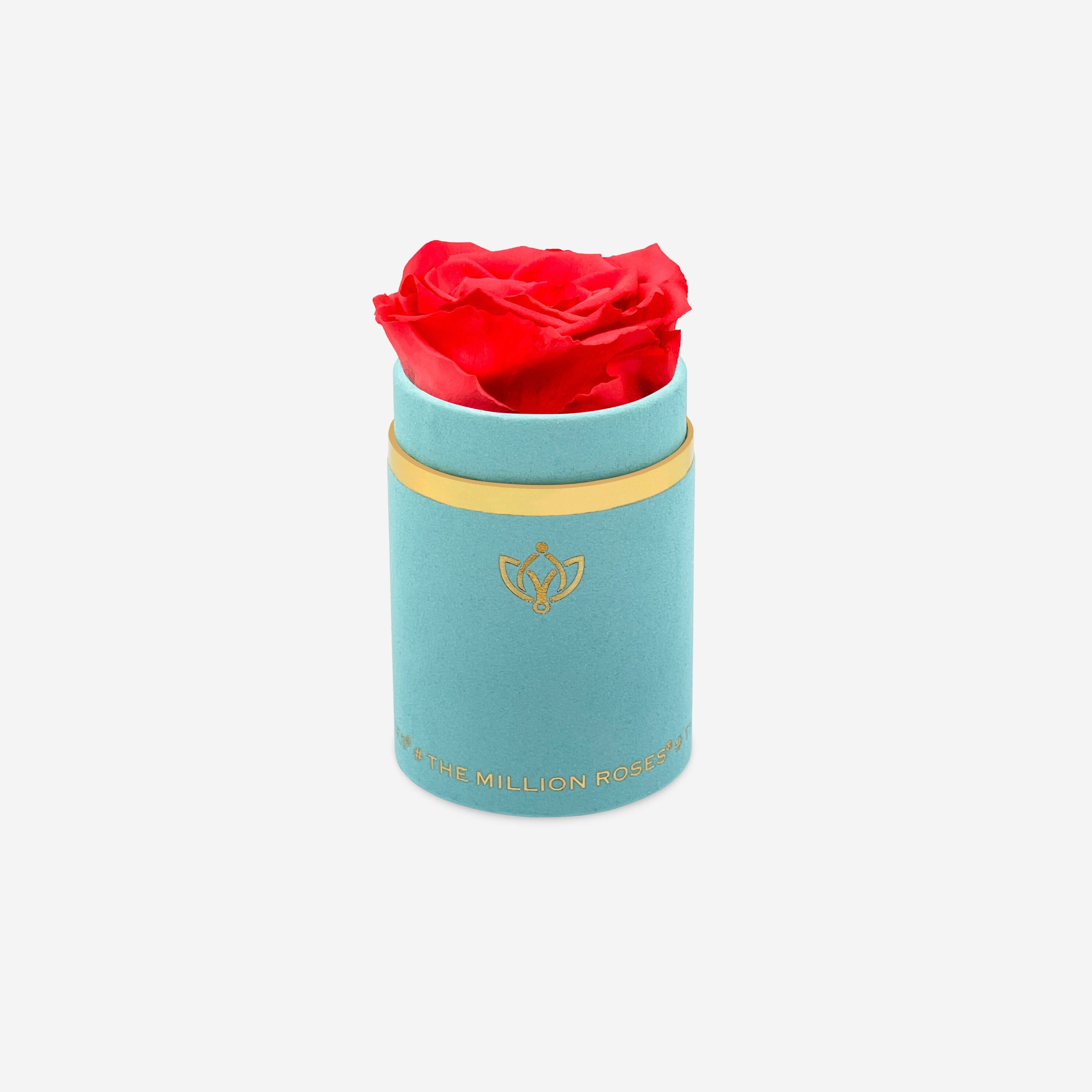 Single Mint Green Suede Box | Coral Rose - The Million Roses