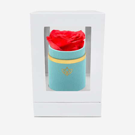 Single Mint Green Suede Box | Coral Rose - The Million Roses