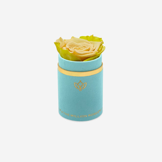 Single Mint Green Suede Box | Fawn Bicolor Rose - The Million Roses