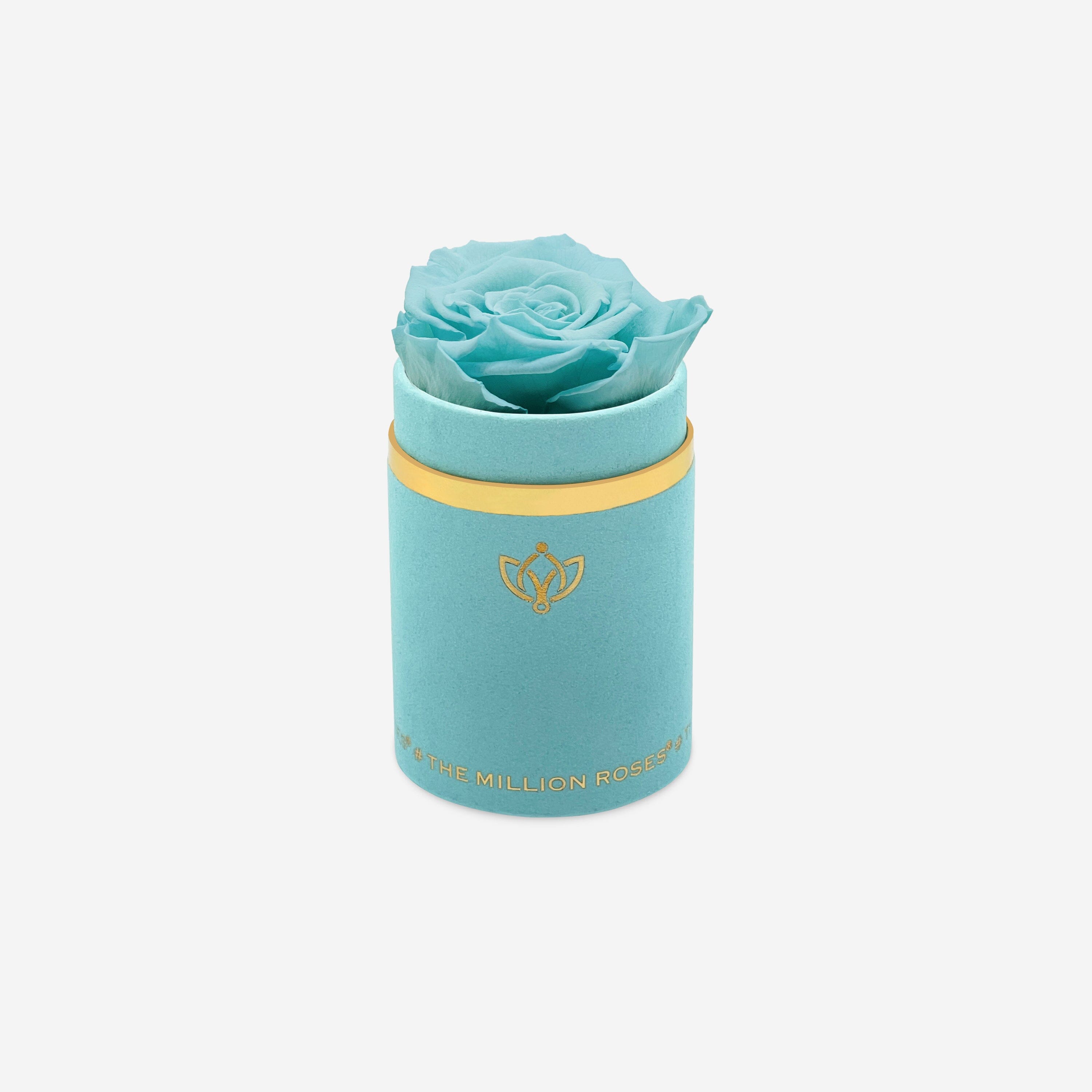 Single Mint Green Suede Box | Turquoise Rose - The Million Roses