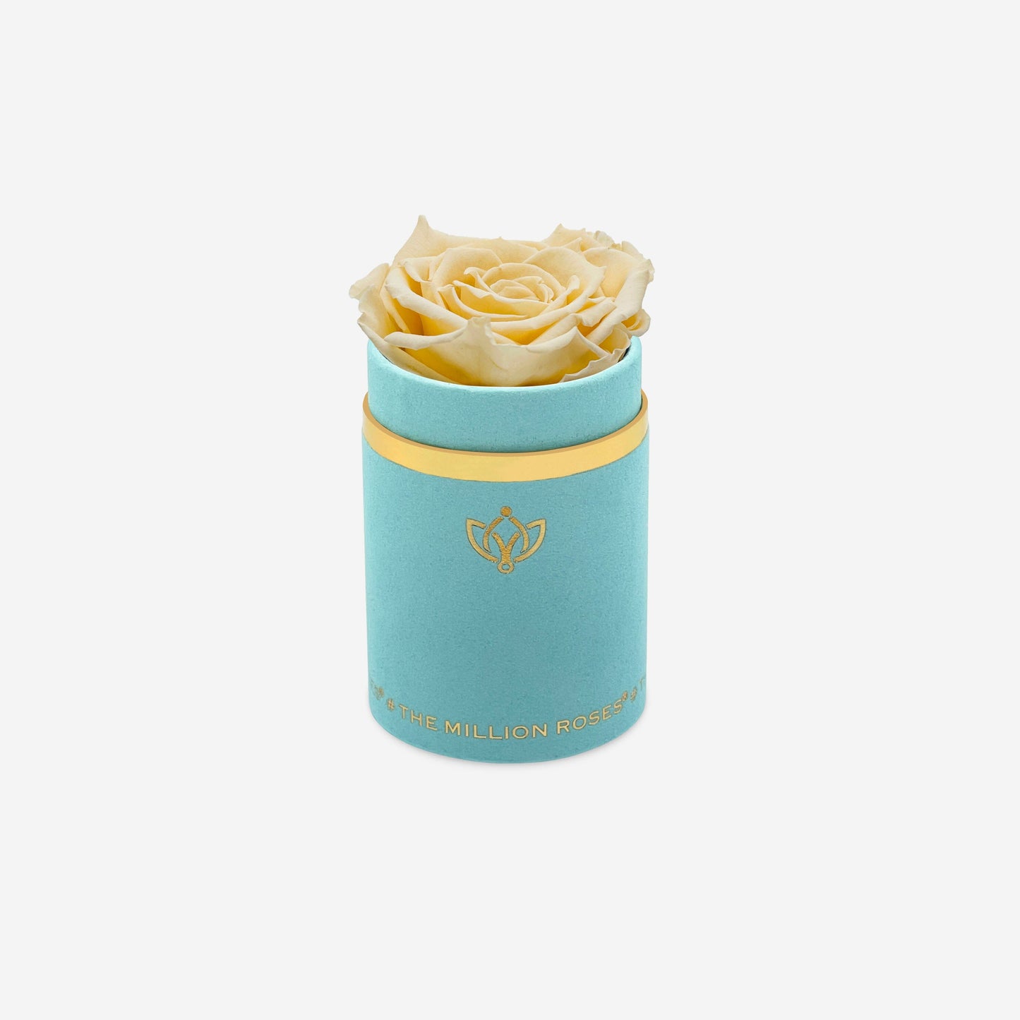 Single Mint Green Suede Box | Fawn Rose - The Million Roses
