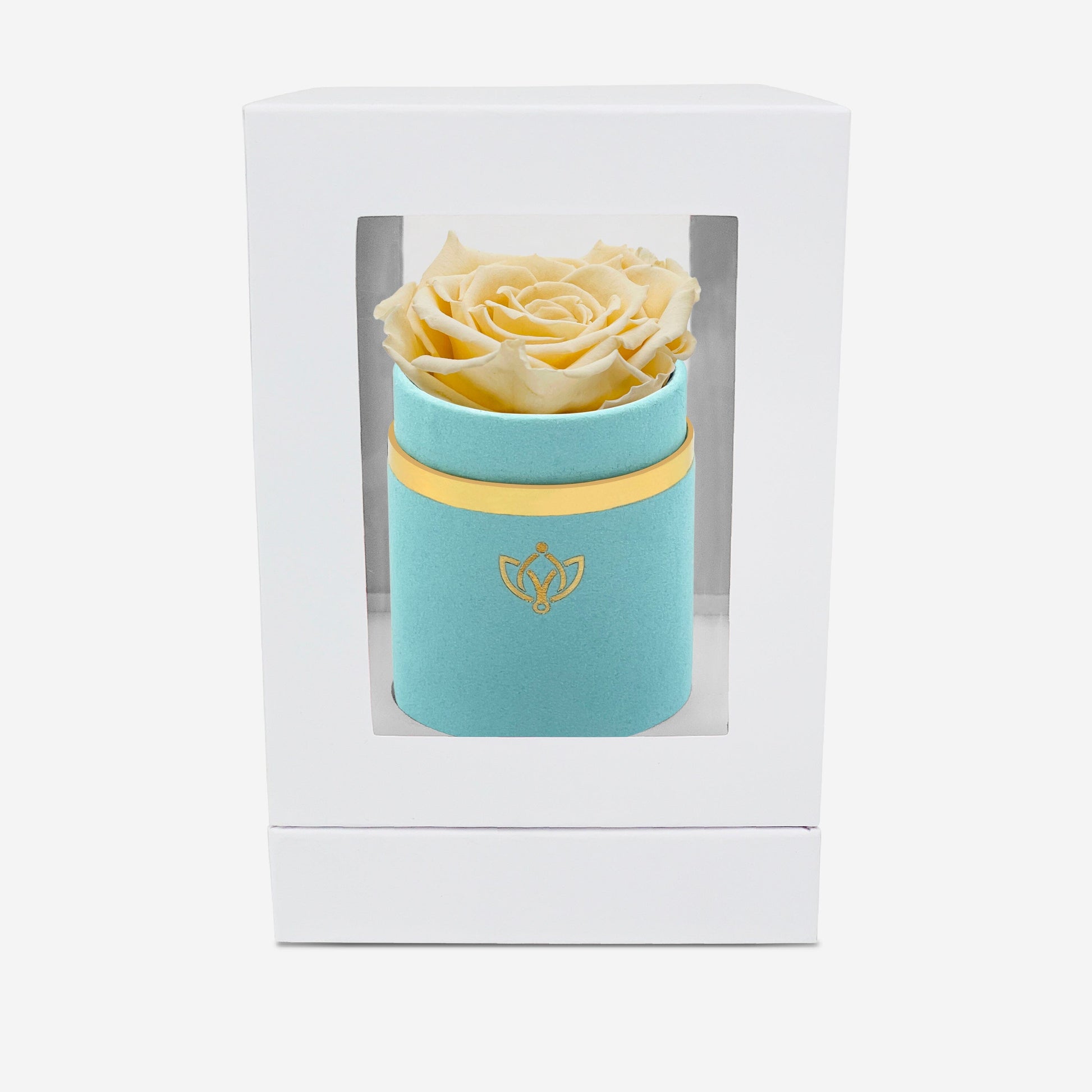 Single Mint Green Suede Box | Fawn Rose - The Million Roses