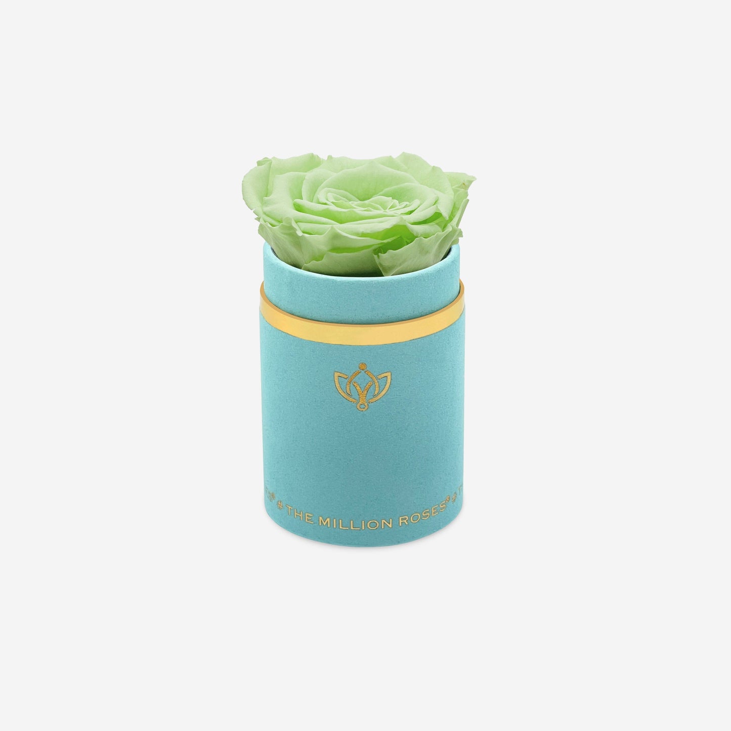 Single Mint Green Suede Box | Mint Green Rose - The Million Roses