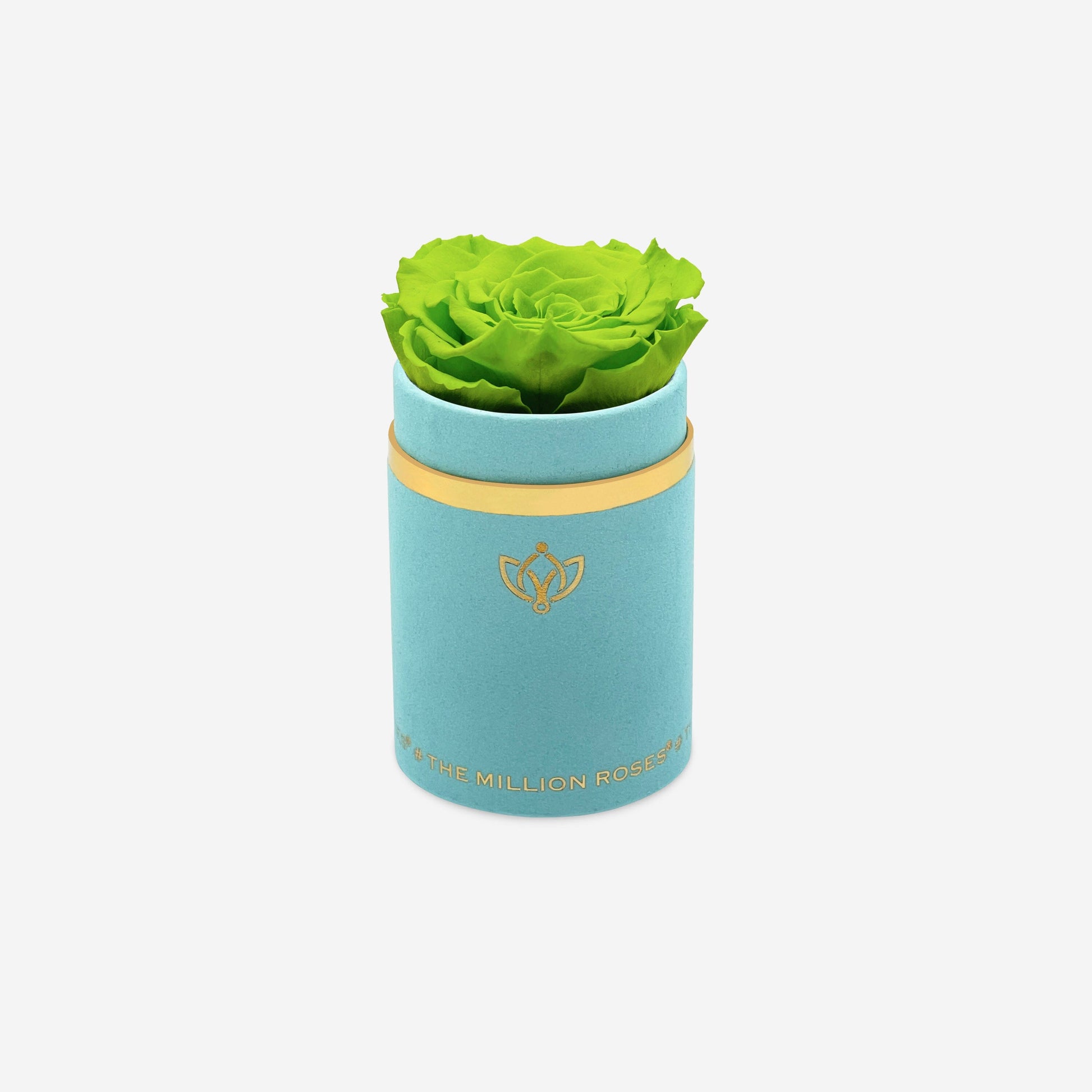 Single Mint Green Suede Box | Light Green Rose - The Million Roses