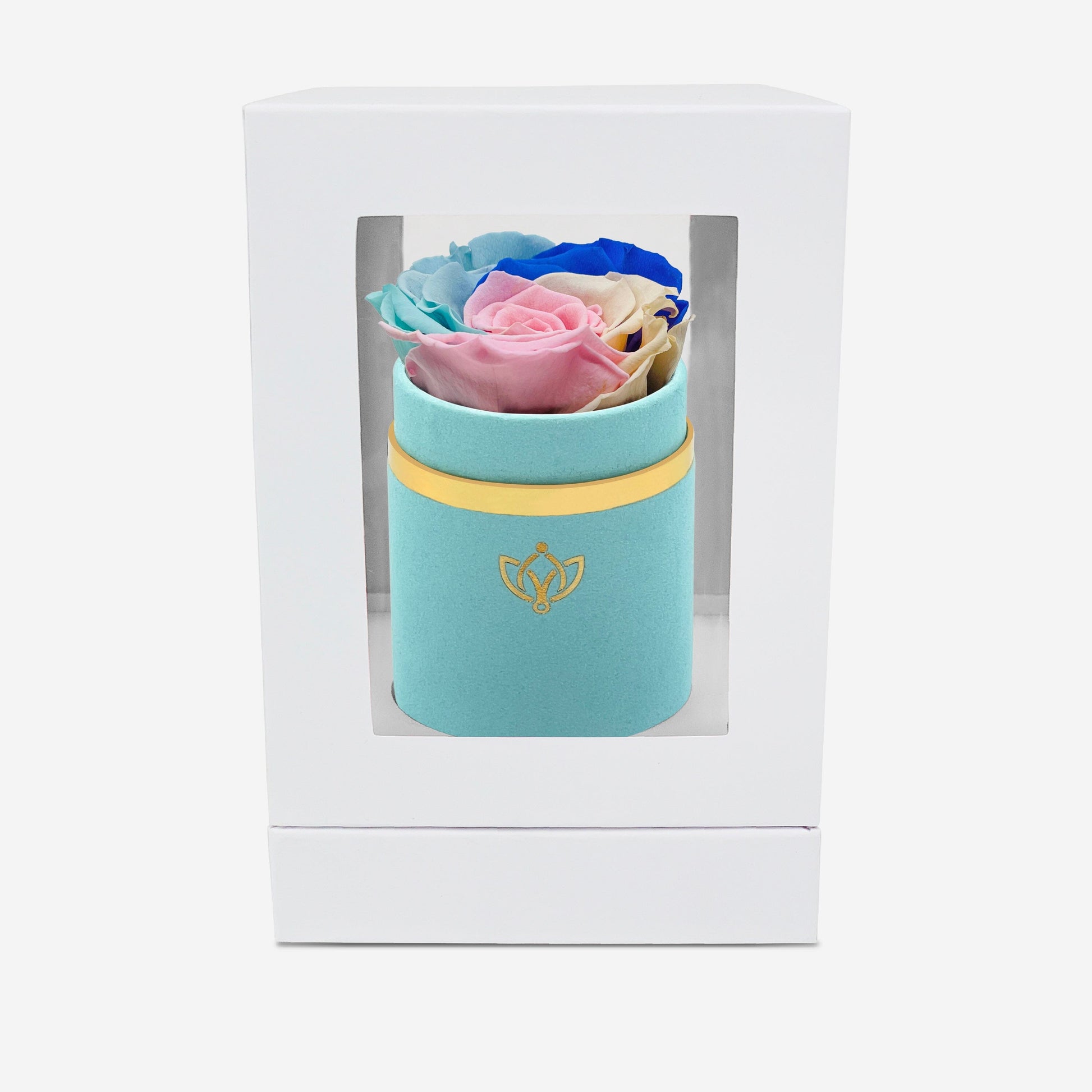 Single Mint Green Suede Box | Pastel Rainbow Rose - The Million Roses