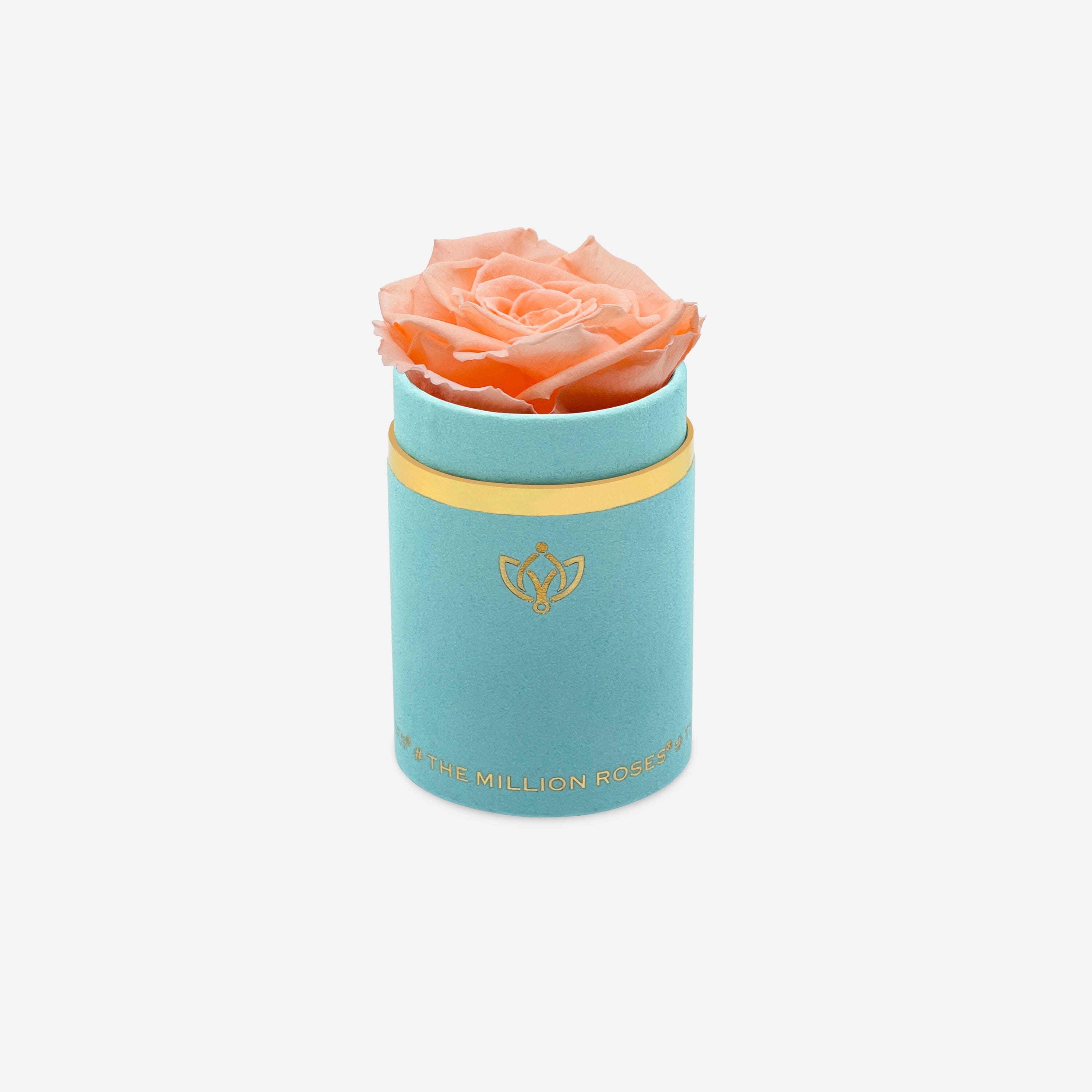 Single Mint Green Suede Box | Peach Rose - The Million Roses