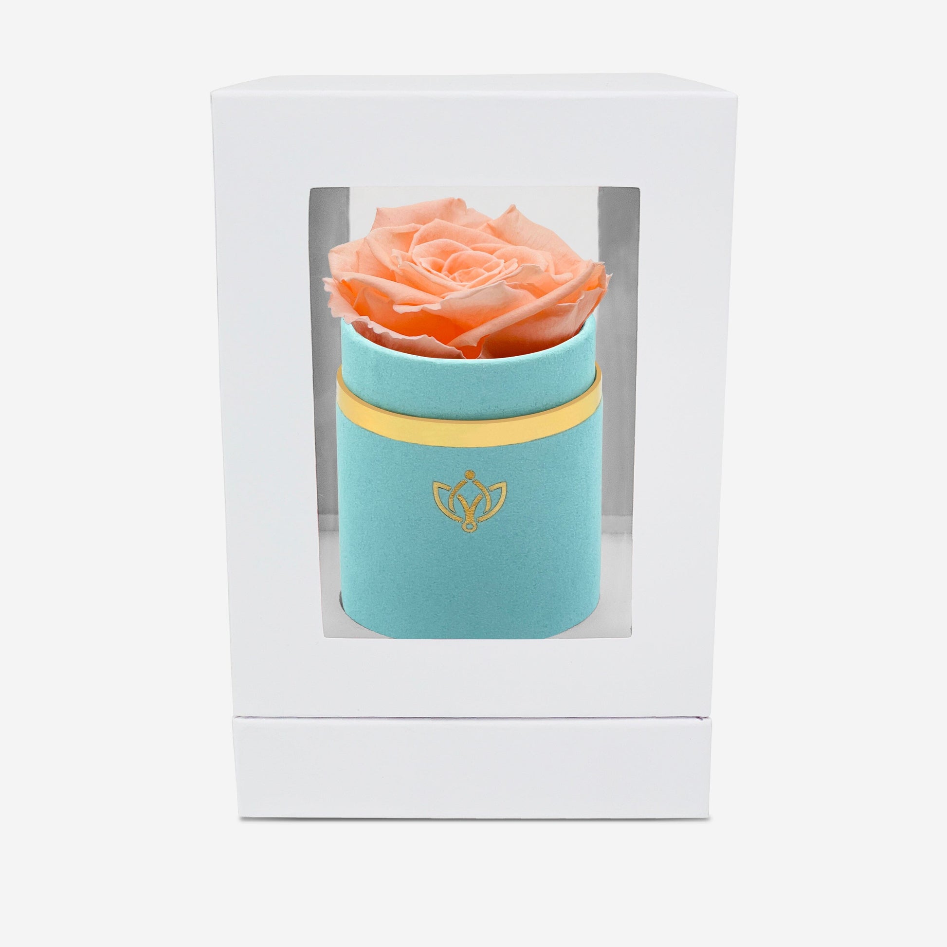 Single Mint Green Suede Box | Peach Rose - The Million Roses