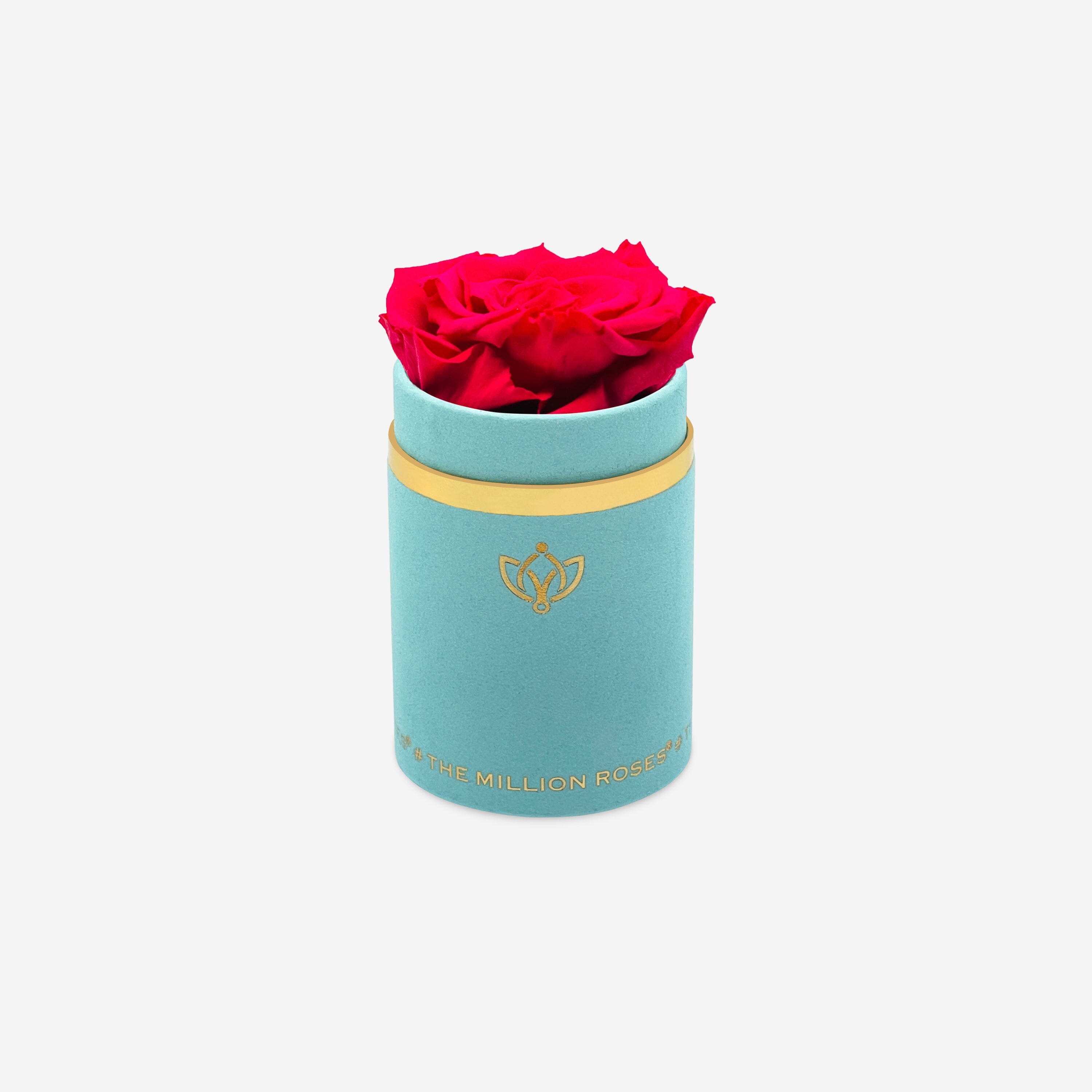 Single Mint Green Suede Box | Hot Pink Rose - The Million Roses