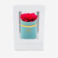 Single Mint Green Suede Box | Hot Pink Rose - The Million Roses