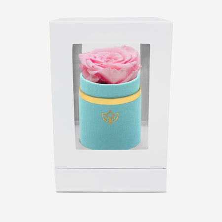 Single Mint Green Suede Box | Light Pink Rose - The Million Roses