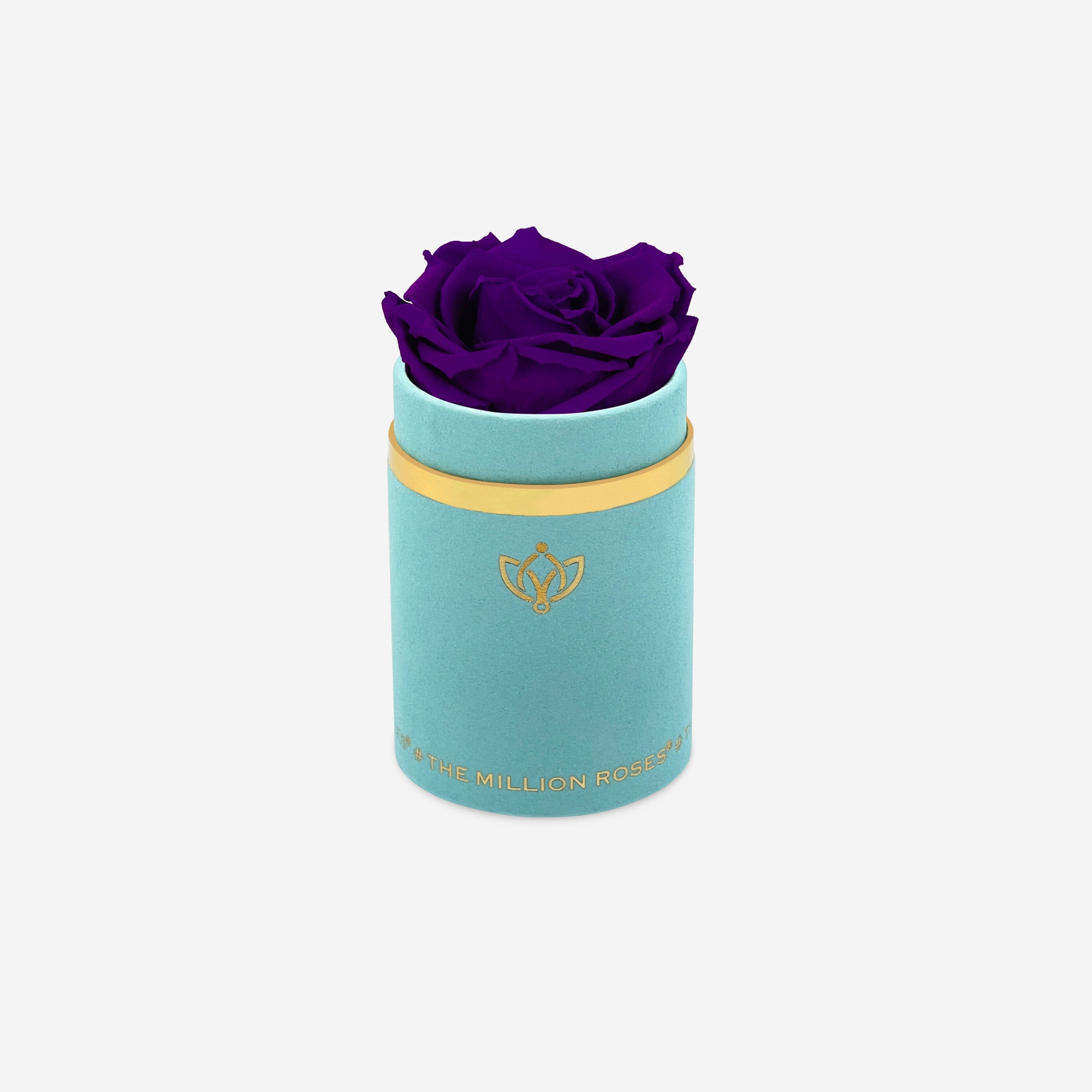 Single Mint Green Suede Box | Bright Purple Rose - The Million Roses