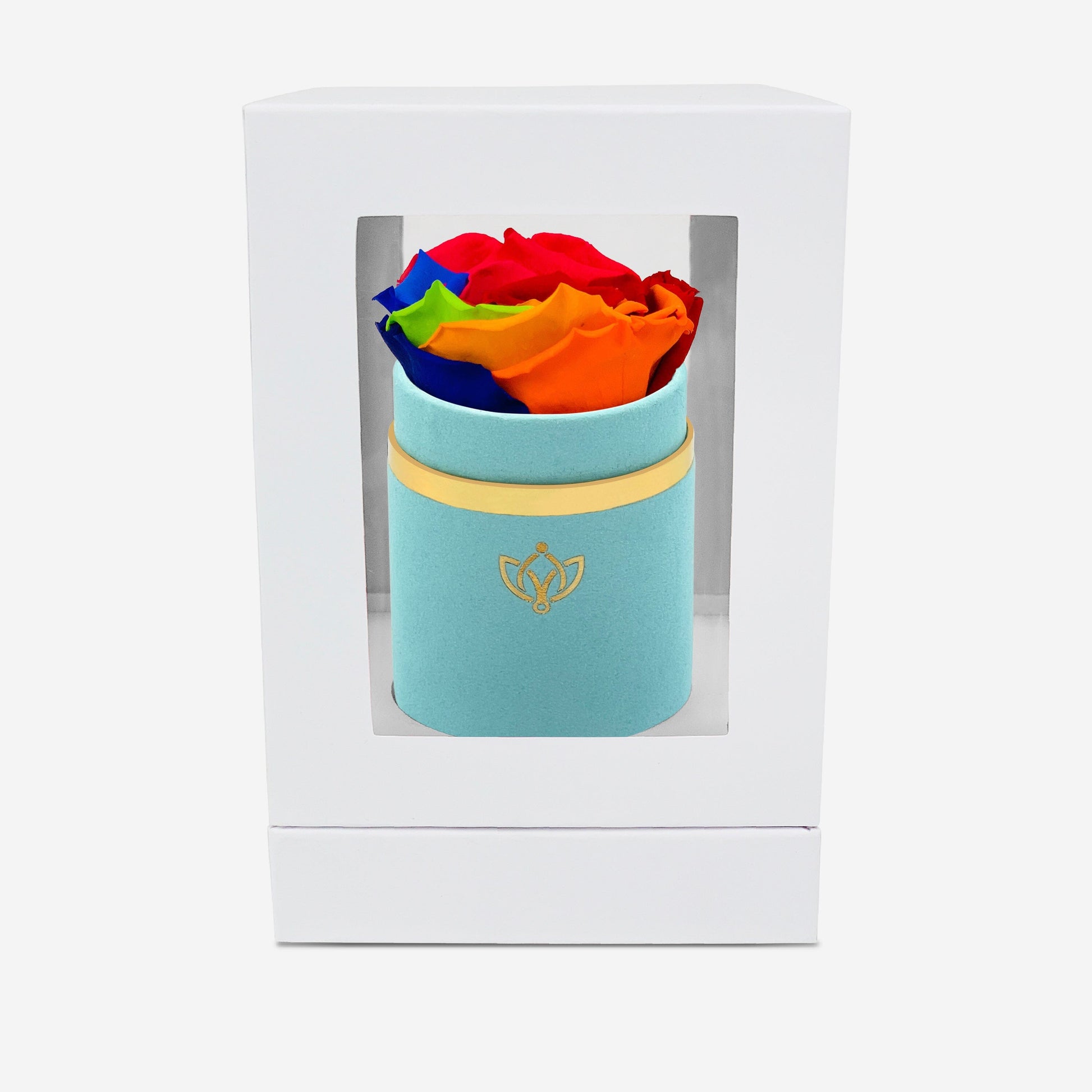 Single Mint Green Suede Box | Rainbow Rose - The Million Roses