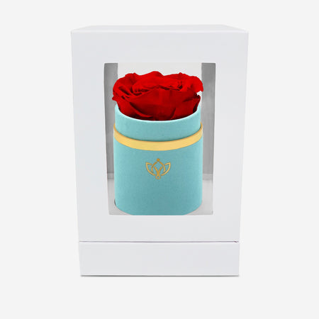 Single Mint Green Suede Box | Red Rose - The Million Roses