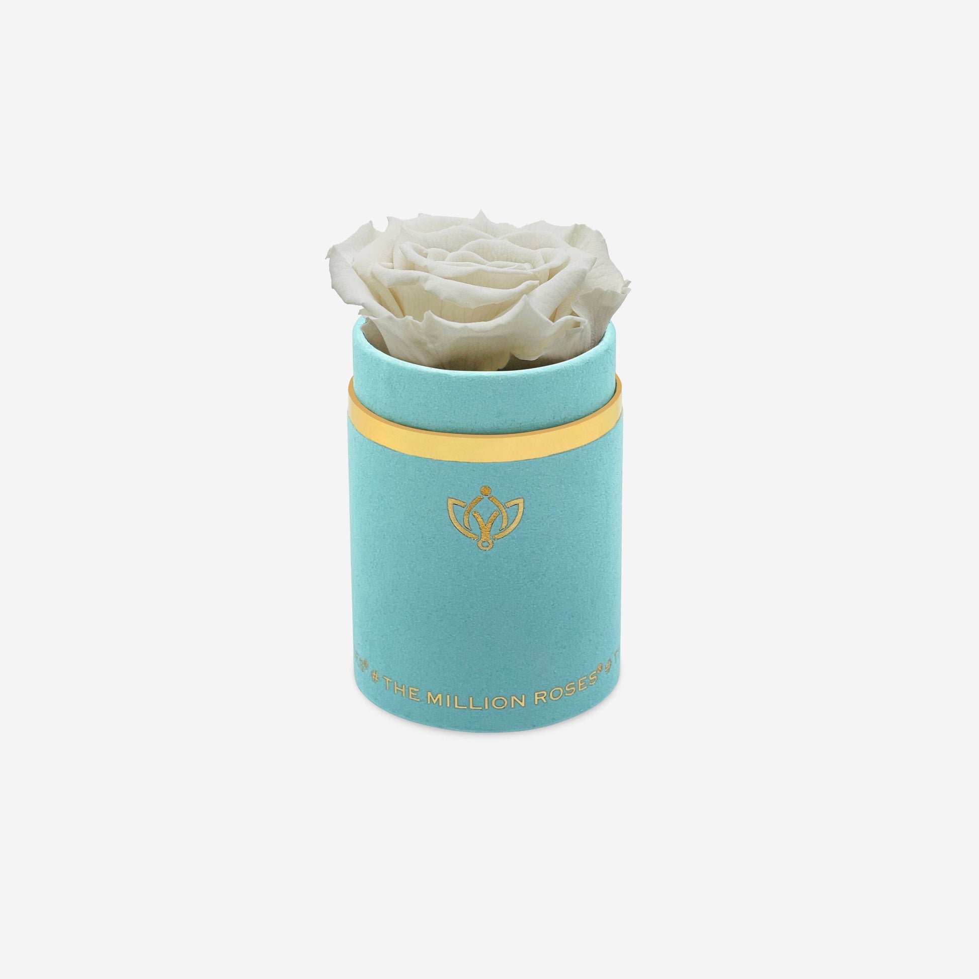 Single Mint Green Suede Box | Off White Rose - The Million Roses