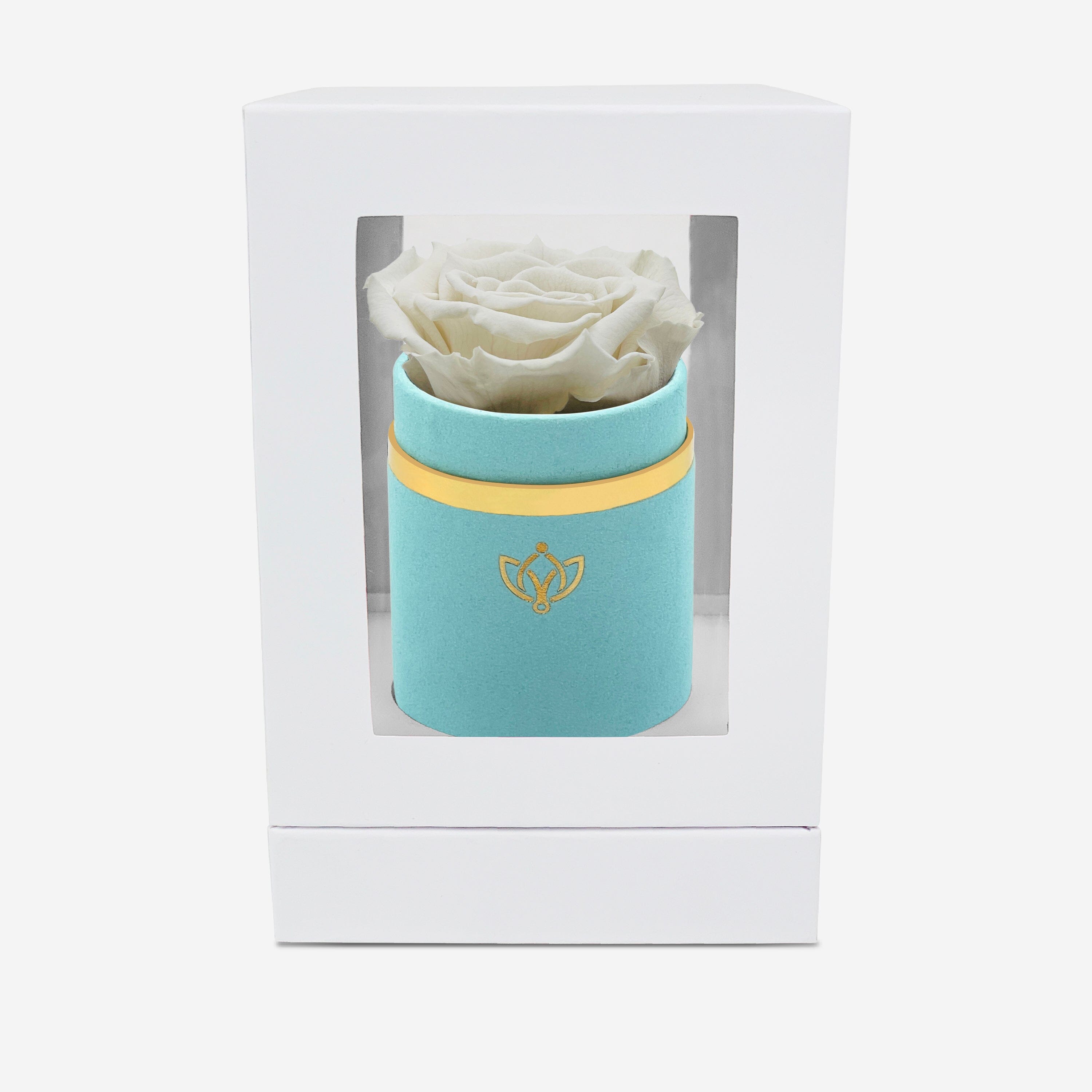 Single Mint Green Suede Box | Off White Rose - The Million Roses