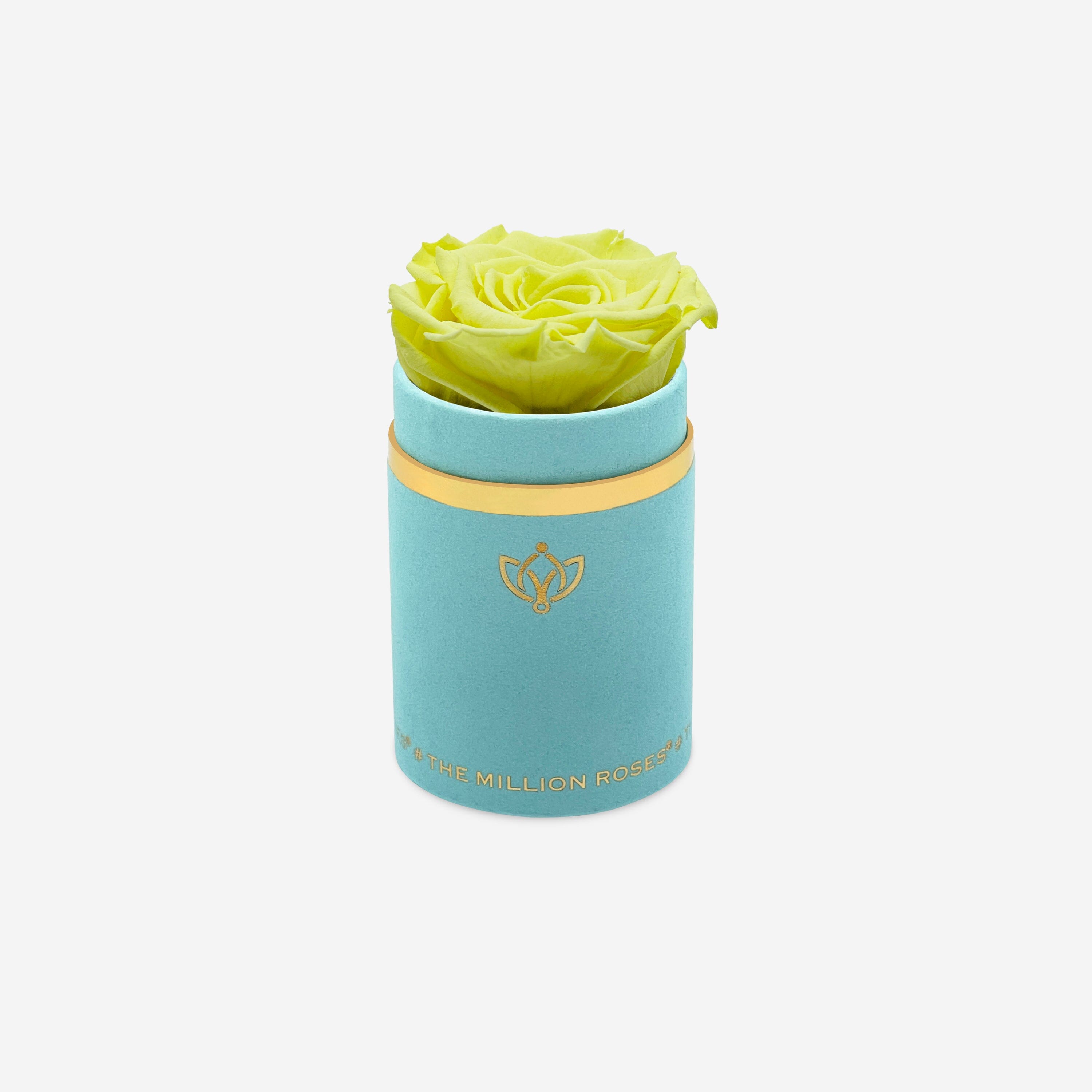 Single Mint Green Suede Box | Canary Yellow Rose - The Million Roses