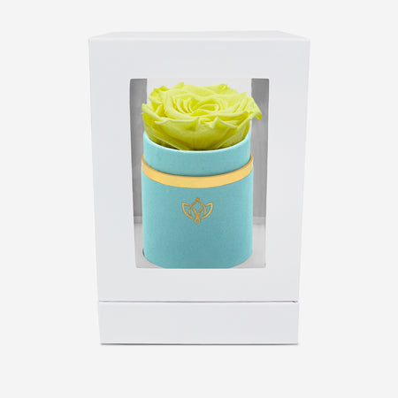 Single Mint Green Suede Box | Canary Yellow Rose - The Million Roses