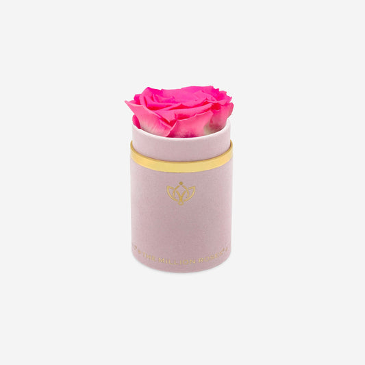 Single Light Pink Suede Box | Candy Pink Rose - The Million Roses