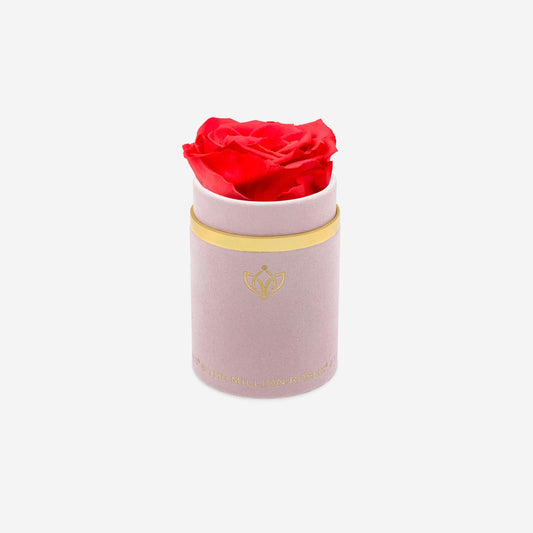 Single Light Pink Suede Box | Coral Rose - The Million Roses