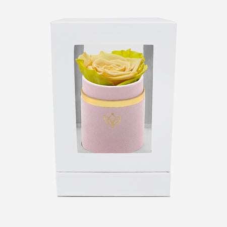 Single Light Pink Suede Box | Fawn Bicolor Rose - The Million Roses