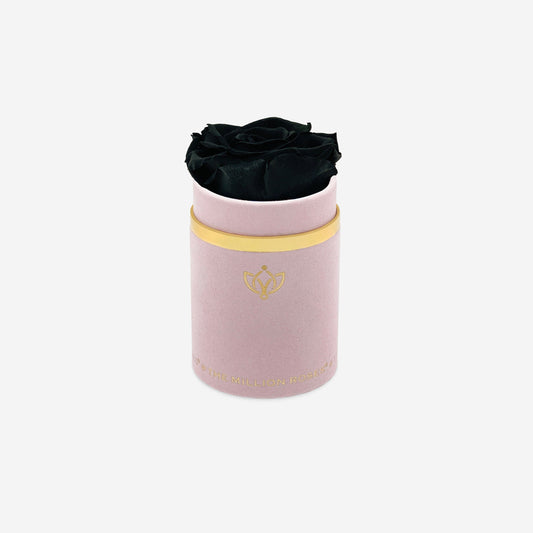 Single Light Pink Suede Box | Black Rose - The Million Roses