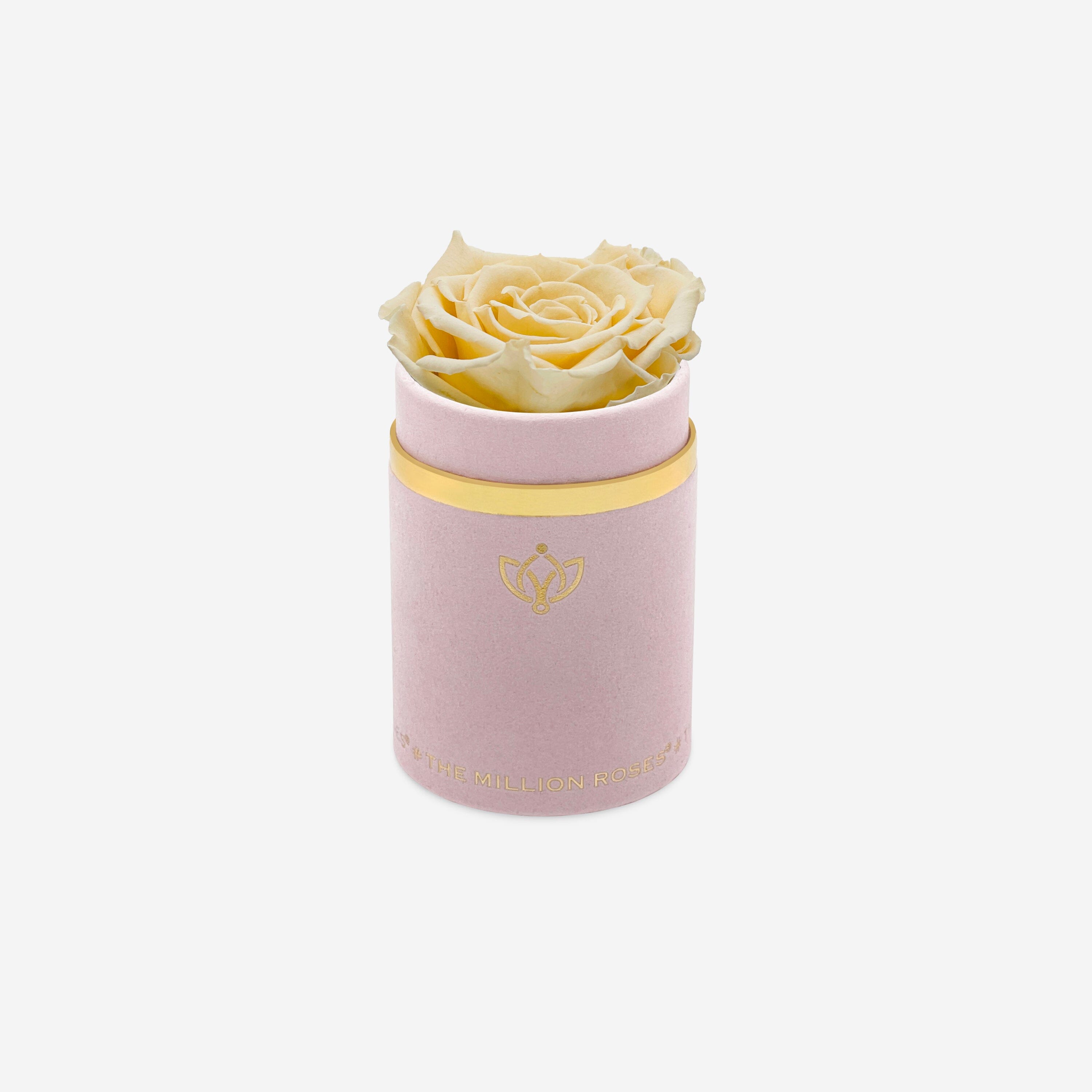 Single Light Pink Suede Box | Fawn Rose - The Million Roses