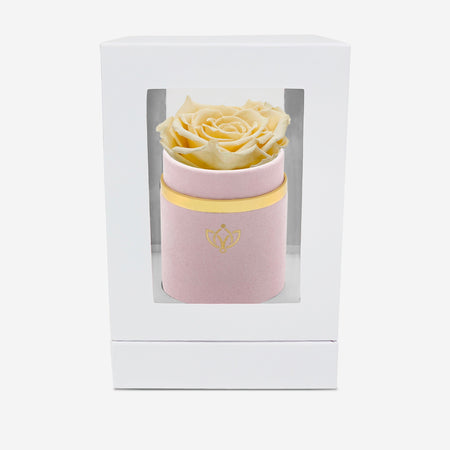 Single Light Pink Suede Box | Fawn Rose - The Million Roses