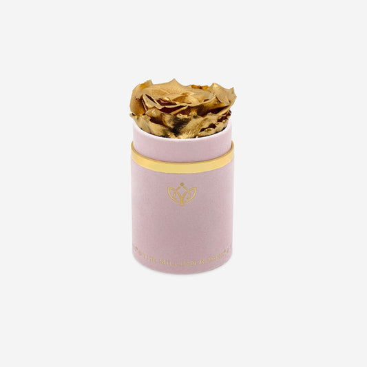 Single Light Pink Suede Box | Gold Rose - The Million Roses