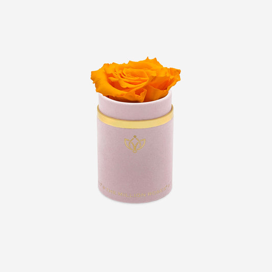 Single Light Pink Suede Box | Orange Rose - The Million Roses
