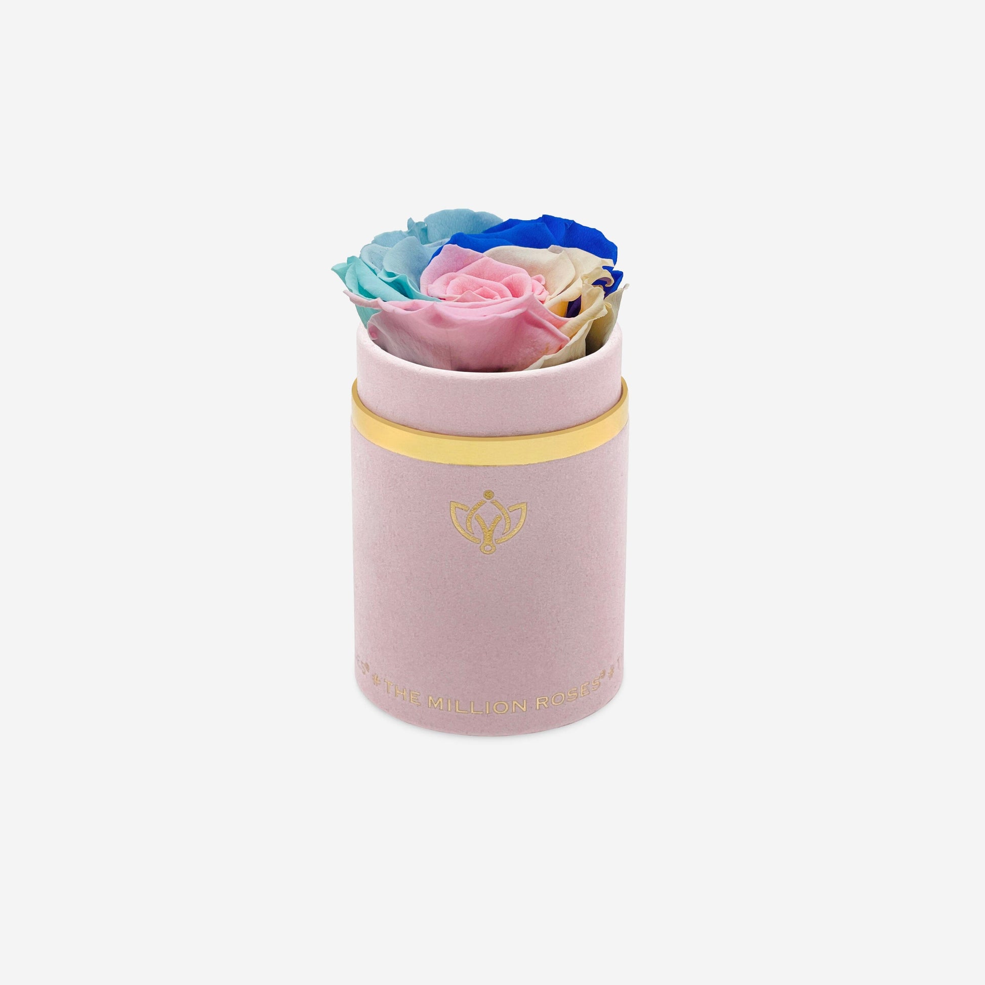 Single Light Pink Suede Box | Pastel Rainbow Rose - The Million Roses
