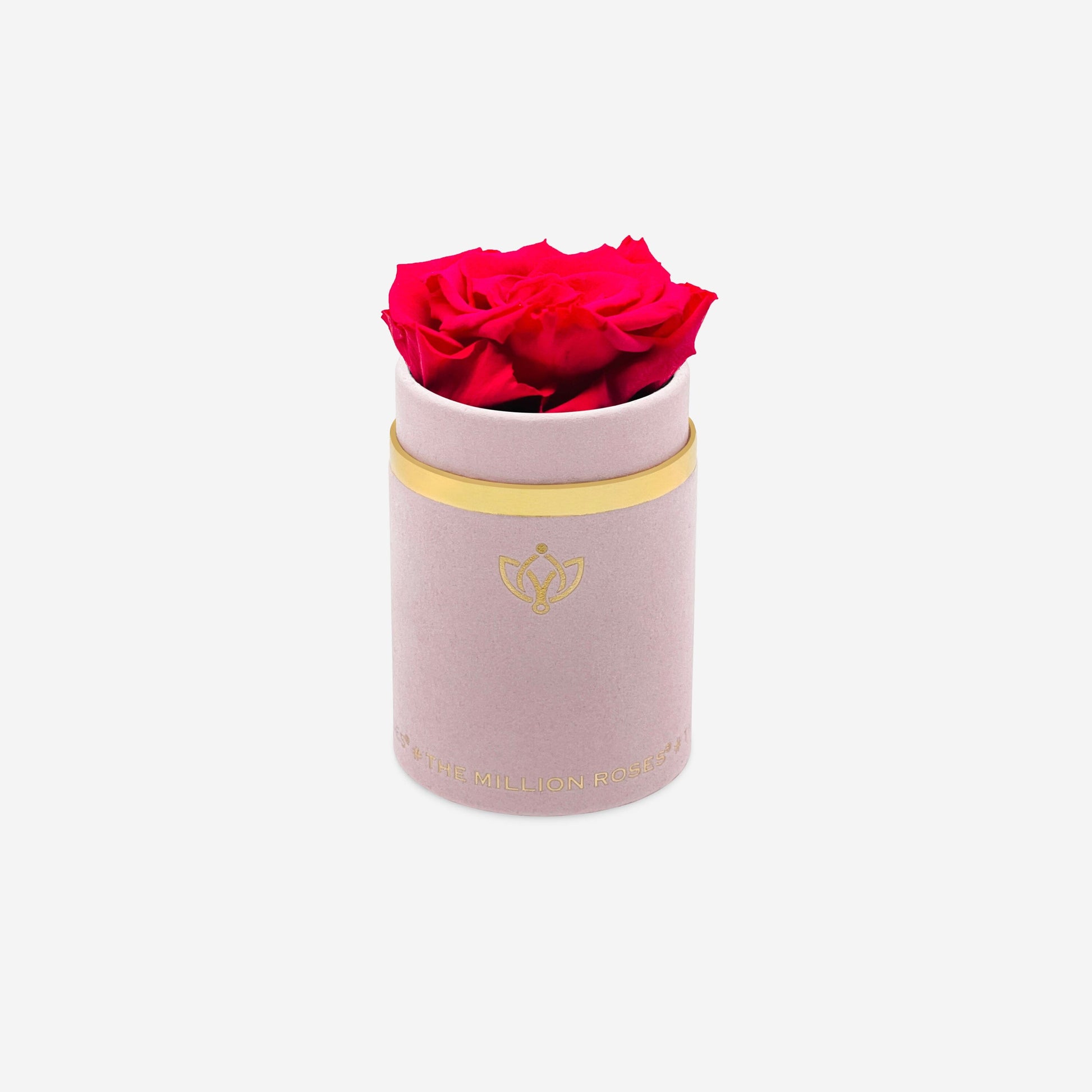 Single Light Pink Suede Box | Hot Pink Rose - The Million Roses