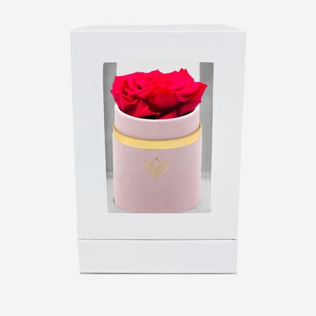 Single Light Pink Suede Box | Hot Pink Rose - The Million Roses