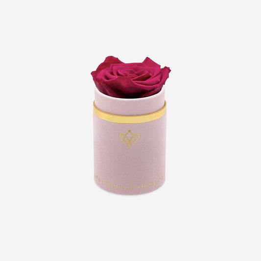 Single Light Pink Suede Box | Magenta Rose - The Million Roses