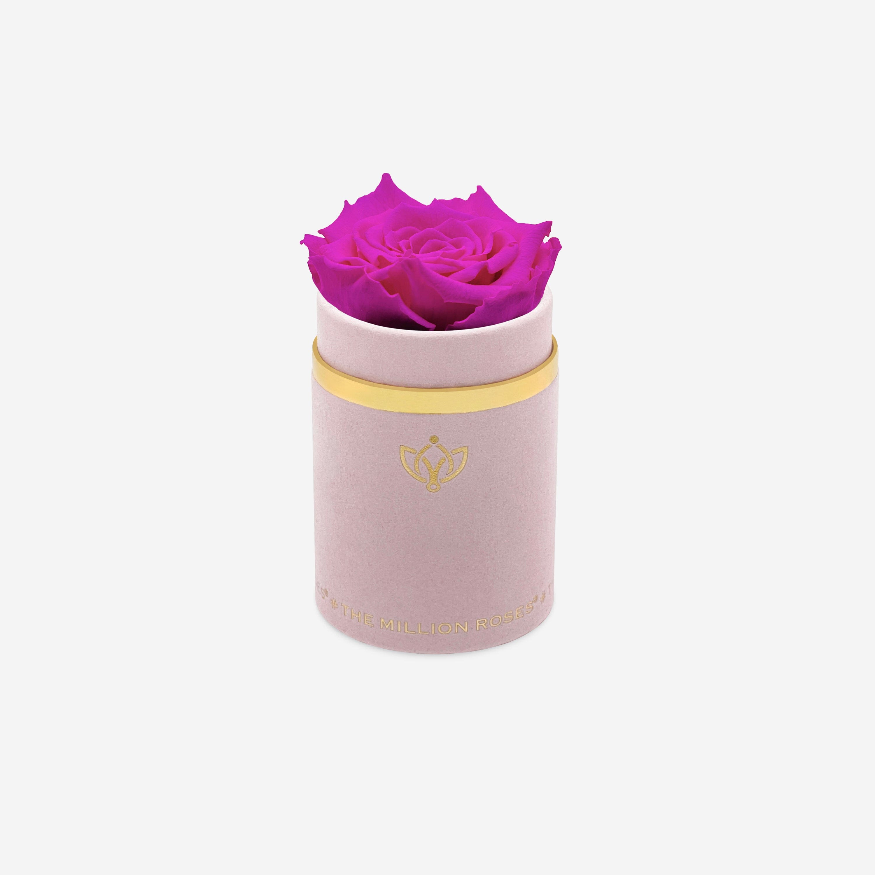 Single Light Pink Suede Box | Neon Pink Rose - The Million Roses