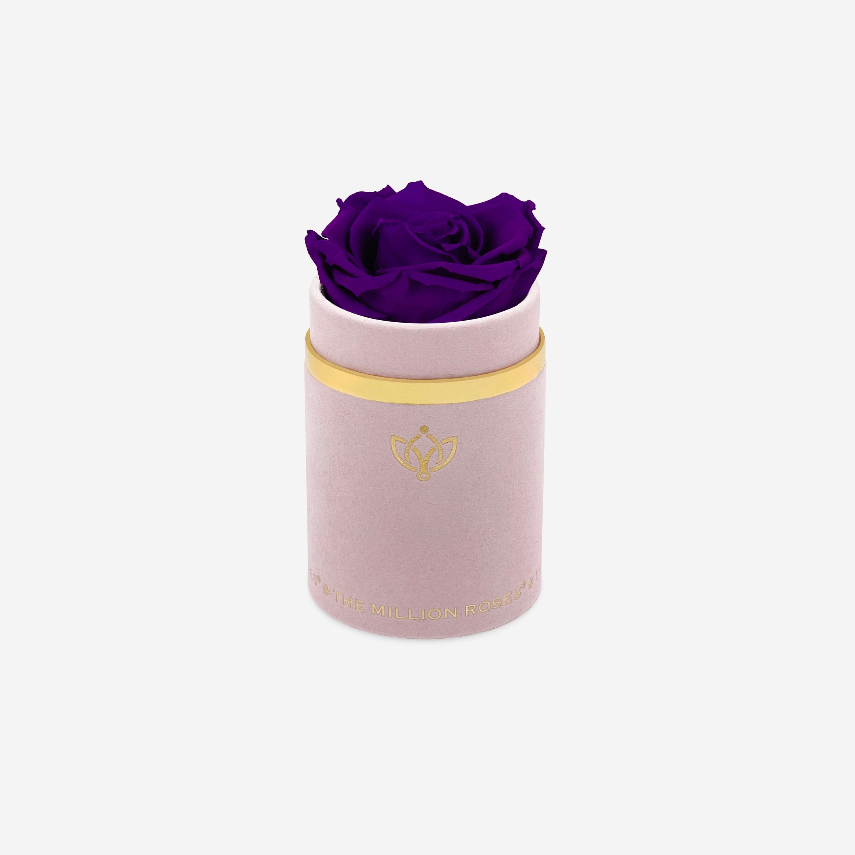 Single Light Pink Suede Box | Bright Purple Rose - The Million Roses