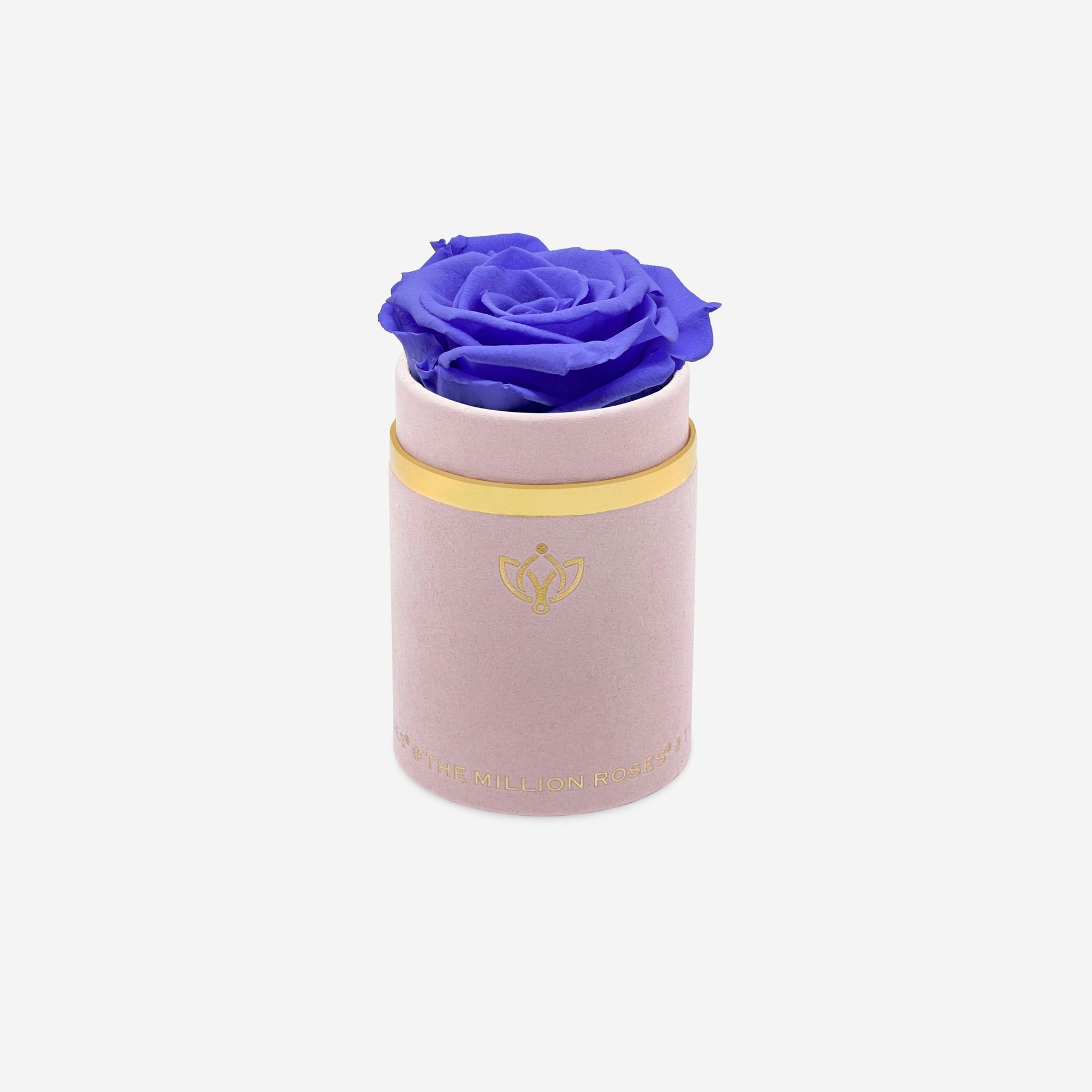 Single Light Pink Suede Box | Violet Rose - The Million Roses