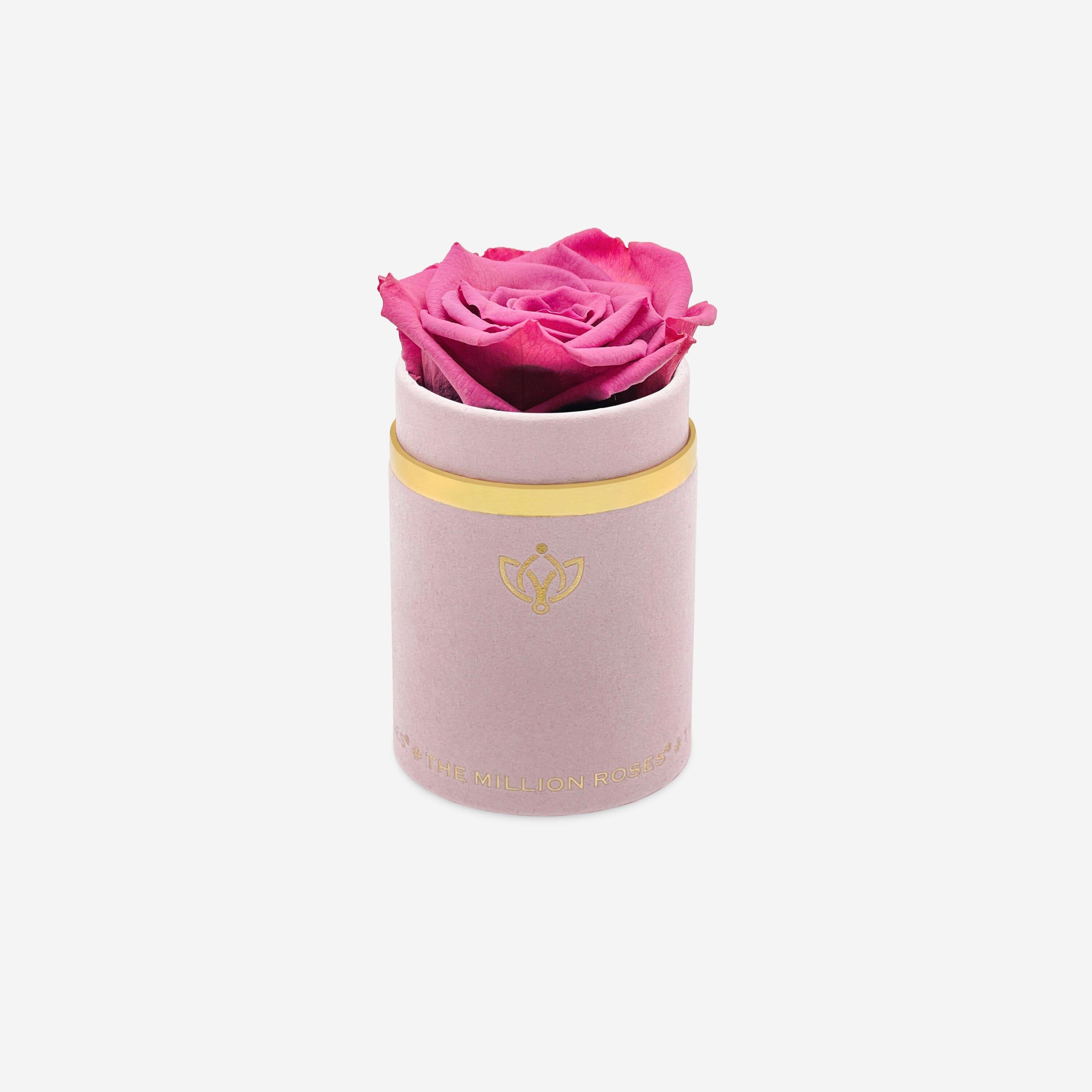 Single Light Pink Suede Box | Orchid Rose - The Million Roses