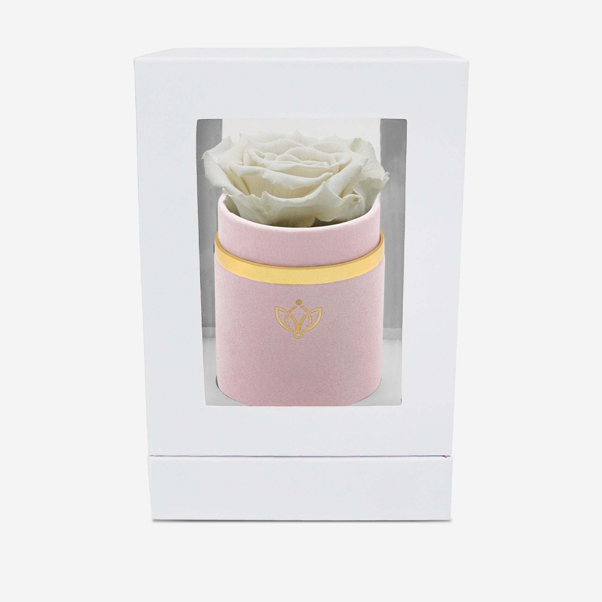 Single Light Pink Suede Box | Off White Rose - The Million Roses