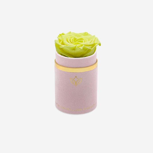 Single Light Pink Suede Box | Canary Yellow Rose - The Million Roses